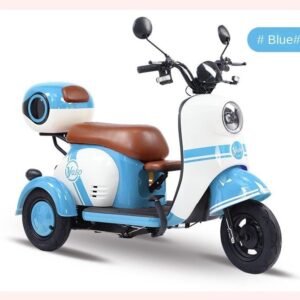 Electric Cargo Trike Canopy 1000W Motor Power 1000W Motor Power 400kg Payload Capacity Steel Material 60v Passenger Trike