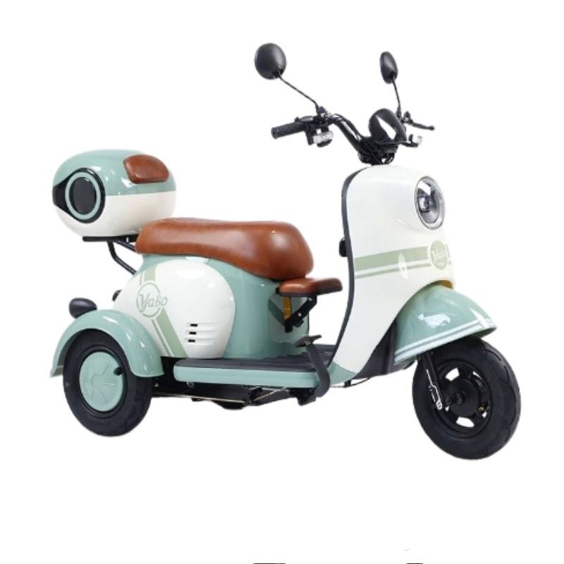 Electric Cargo Trike Canopy 1000W Motor Power 1000W Motor Power 400kg Payload Capacity Steel Material 60v Passenger Trike