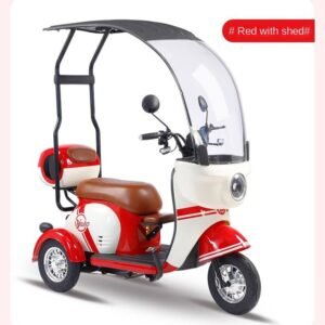 Electric Cargo Trike Canopy 1000W Motor Power 1000W Motor Power 400kg Payload Capacity Steel Material 60v Passenger Trike