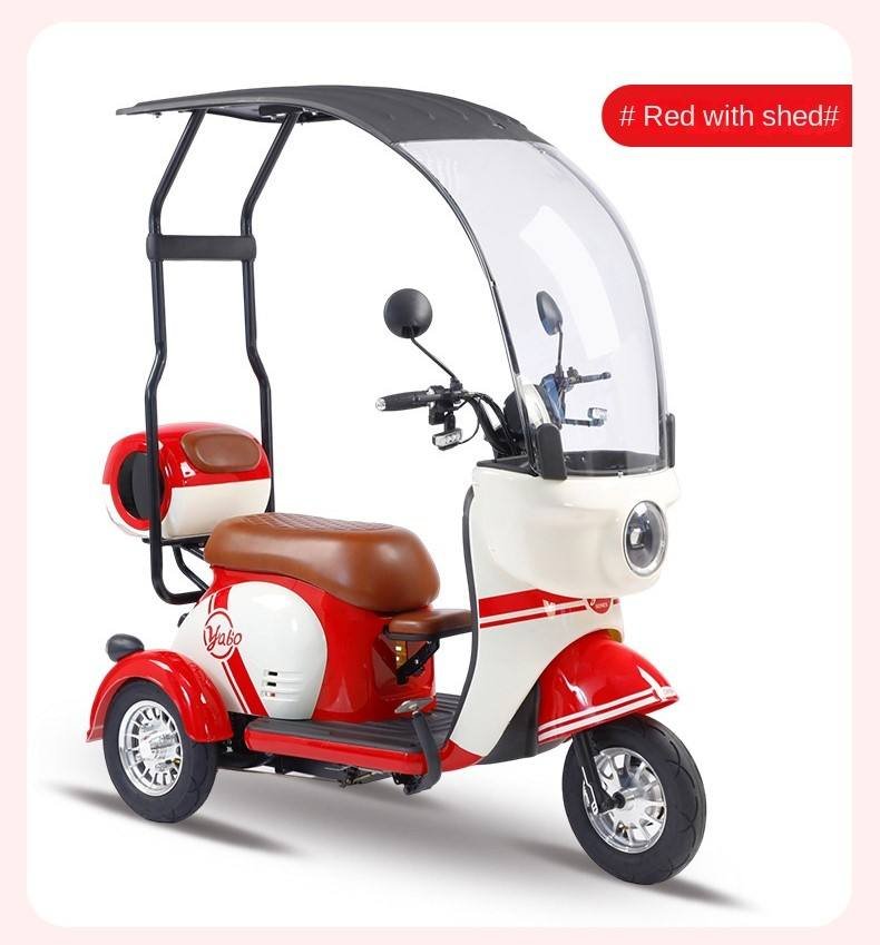Electric Cargo Trike Canopy 1000W Motor Power 1000W Motor Power 400kg Payload Capacity Steel Material 60v Passenger Trike