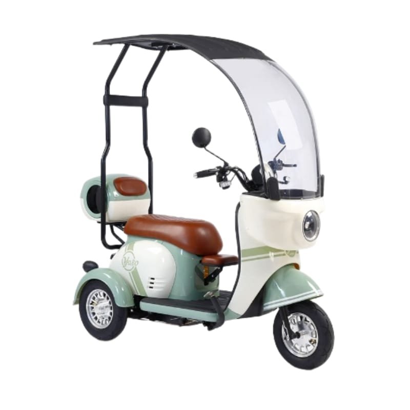 Electric Cargo Trike Canopy 1000W Motor Power 1000W Motor Power 400kg Payload Capacity Steel Material 60v Passenger Trike