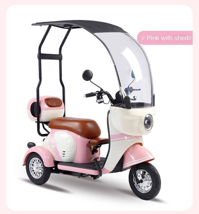 Electric Cargo Trike Canopy 1000W Motor Power 1000W Motor Power 400kg Payload Capacity Steel Material 60v Passenger Trike