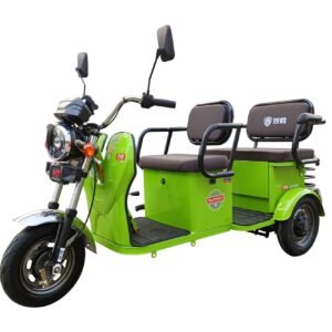 Electric Cargo Trike Canopy 1000W Motor Power 1000W Motor Power 400kg Payload Capacity Steel Material 60v Passenger Trike