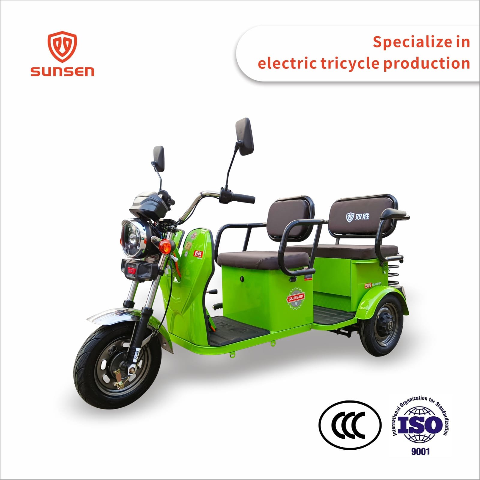 Electric Cargo Trike Canopy 1000W Motor Power 1000W Motor Power 400kg Payload Capacity Steel Material 60v Passenger Trike