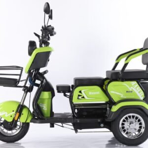 Electric Cargo Trike Canopy 1000W Motor Power 1000W Motor Power 400kg Payload Capacity Steel Material 60v Passenger Trike